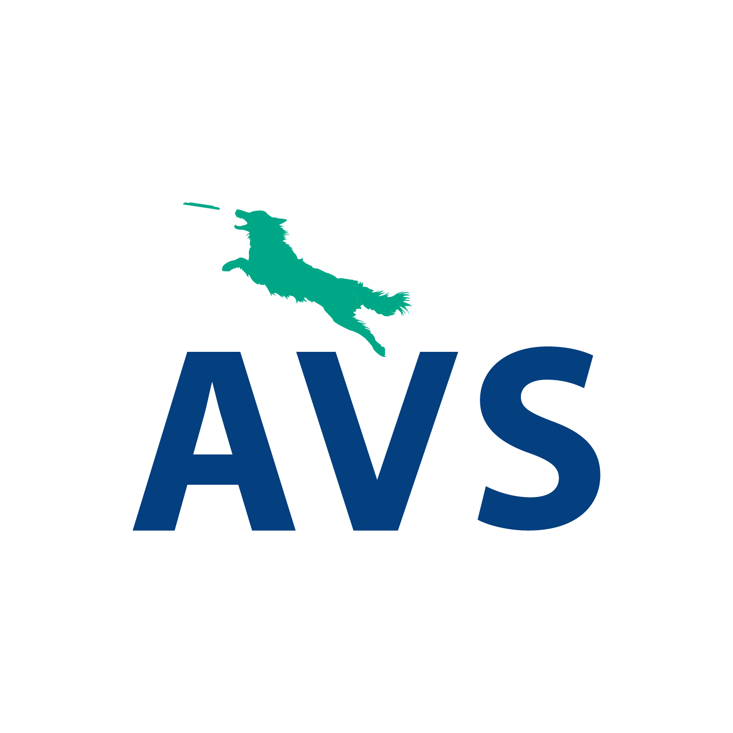 avs logo