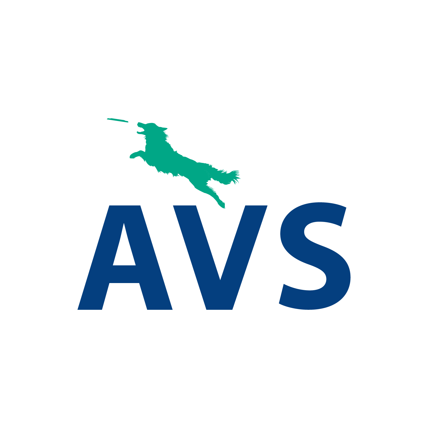 avs logo