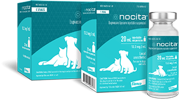 Nocita® - a local anesthetic for dogs and cats